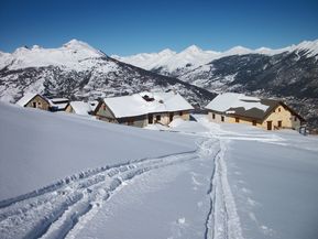 100_2027.jpg
