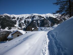 100_2039.jpg