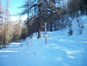 100_2040.jpg
