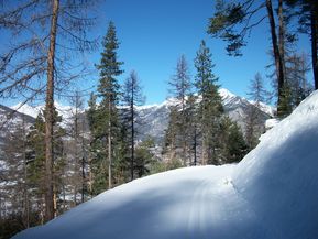 100_2042.jpg