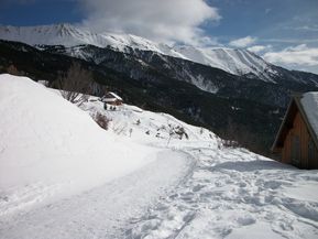 100_0923.jpg