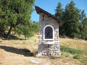 100_1115.jpg