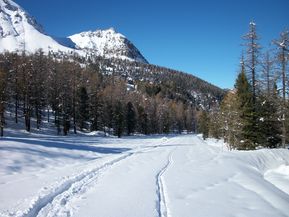 100_1631.jpg
