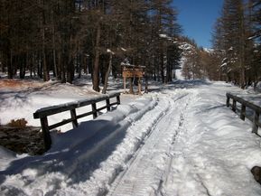 100_1636.jpg