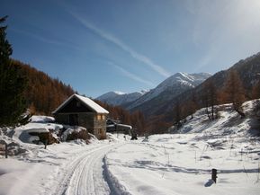 100_1643-copie-1.jpg