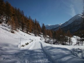 100_1648.jpg