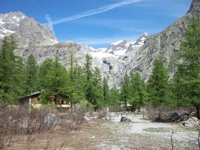 100_1037.jpg