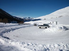 100_0232-copie-1.jpg