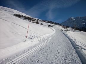 100_0232.jpg
