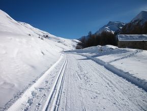 100 0249 montée au refuge agnel