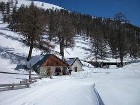 100 0683 bergerie du bois noir près de ceillac