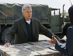 Parfum-de-the-NCIS-Gibbs-S8E4-Sondages---tendances.jpg