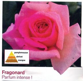 frag