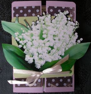 DSCN8777.jpg