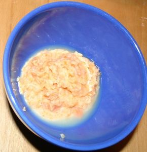 puree_carotte.JPG