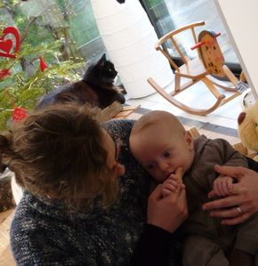 entre le chat le cheval et l'ours