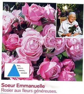 soeur