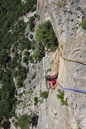 2011-08-4495---copie.JPG