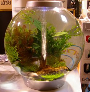 filtre Exhausteur simple pour petits aquarium