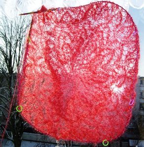 2010-Cherry_Blossom_2.jpg