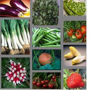 fruits-legumes-saison