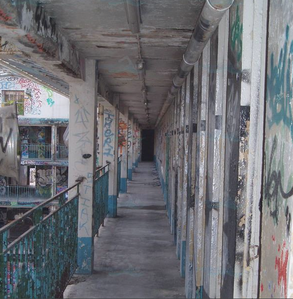 Image-5-copie-2.png