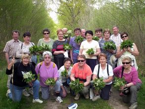 muguet blo