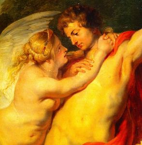 Vénus et Adonis Rubens, détail