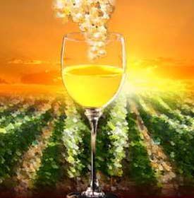 Vins de Chablis