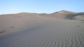 Desert de Gobi (141)
