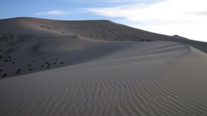 Desert de Gobi (144)