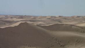 Desert de Gobi (277)