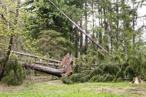 tempête gaillands 07