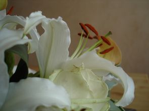 DSC02325