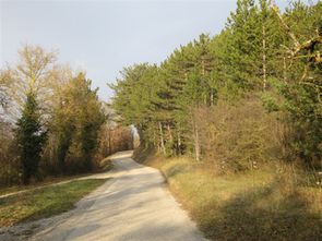 2013-02 1200-berthalais