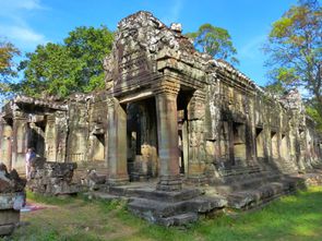 Temple Ta Phrom (19)