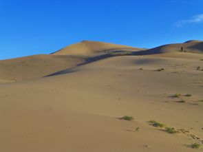 Desert de Gobi (146)