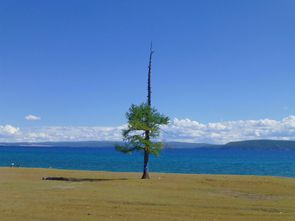 Trek Lac Kovsgol 5 jours (114)