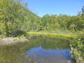 Irkoutsk - Lac Baikal (36)