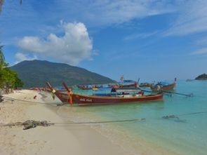 Koh Lipe - Snorkeling (24)