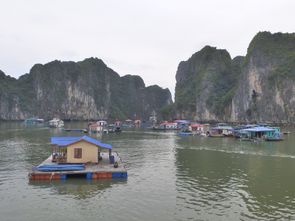 Baie d'Halong - Jour 1 (33)