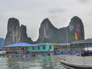 Baie d'Halong - Jour 1 (41)