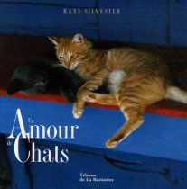 amour de chats