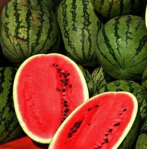 10760591-watermelon.jpg