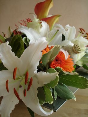 DSC02306-copie-1.JPG
