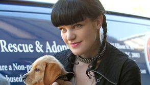 NCIS-S9E4-mort-aux-trousses-4-sondages---tendances.jpg