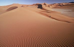 Desert-Express-le-desert-namibien-BlogOuvert.jpg