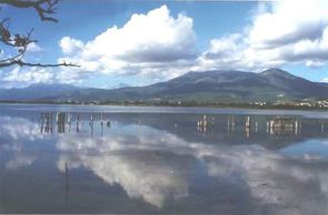 Biguglia_etang_7GF.jpg