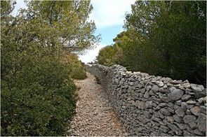 le-mur-de-la-peste-en-Provence-1720.jpg