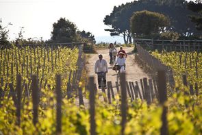 Balade-dans-les-vignes-de-Sarcq-BlogPHIL.jpg
